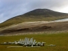 2011-05-11_15-49-07_533